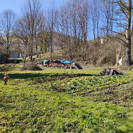 홈스테이 Aitzkorri