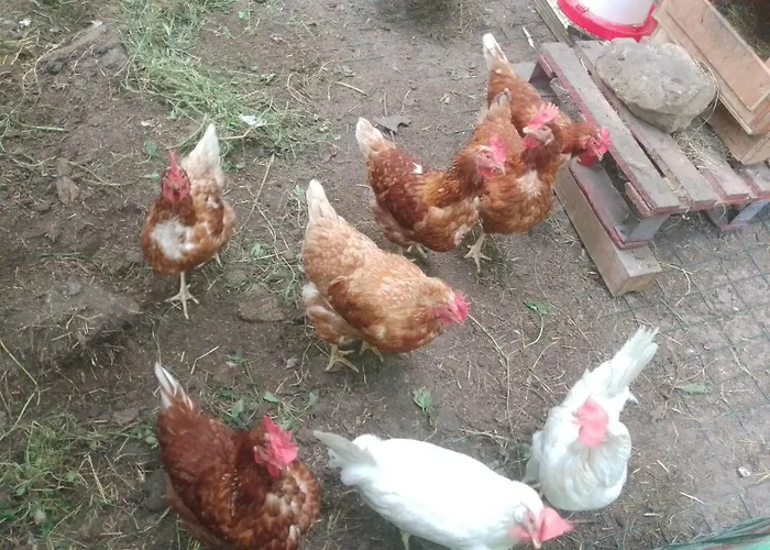 Aitzkorri Kwatera prywatna *